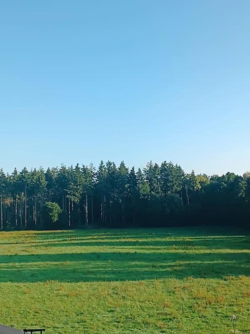 Gemuetliches Appartement Im Kottenforst Naehe Bonn Меккенхайм Экстерьер фото